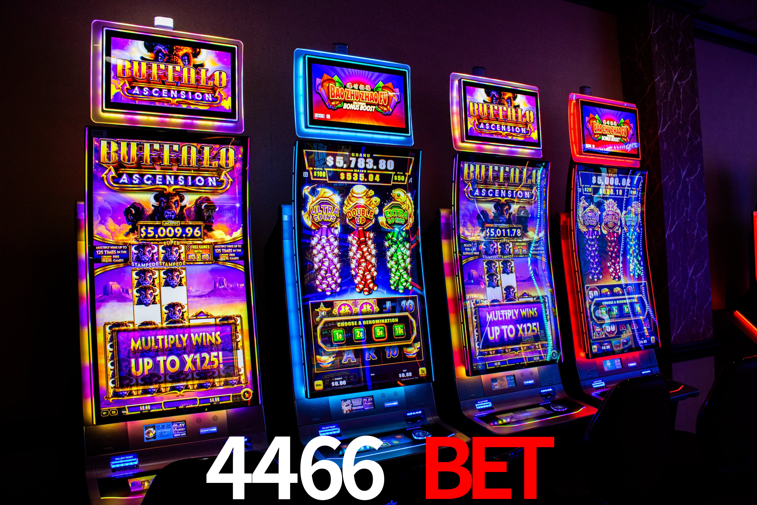 4466 Bet