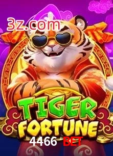 4466 Bet